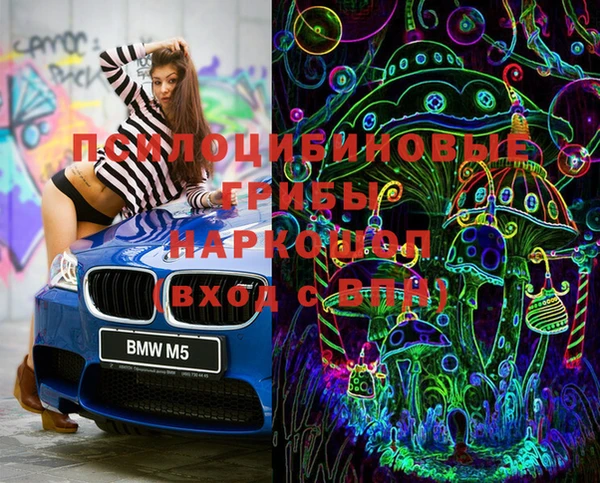 эйфоретик Надым