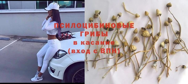 прущие грибы Навашино