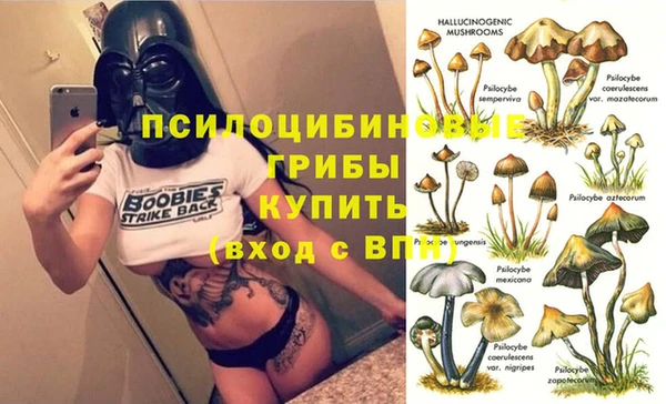 эйфоретик Надым