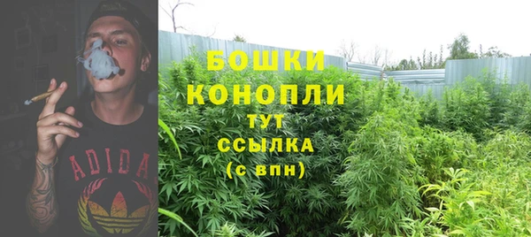 прущие грибы Навашино