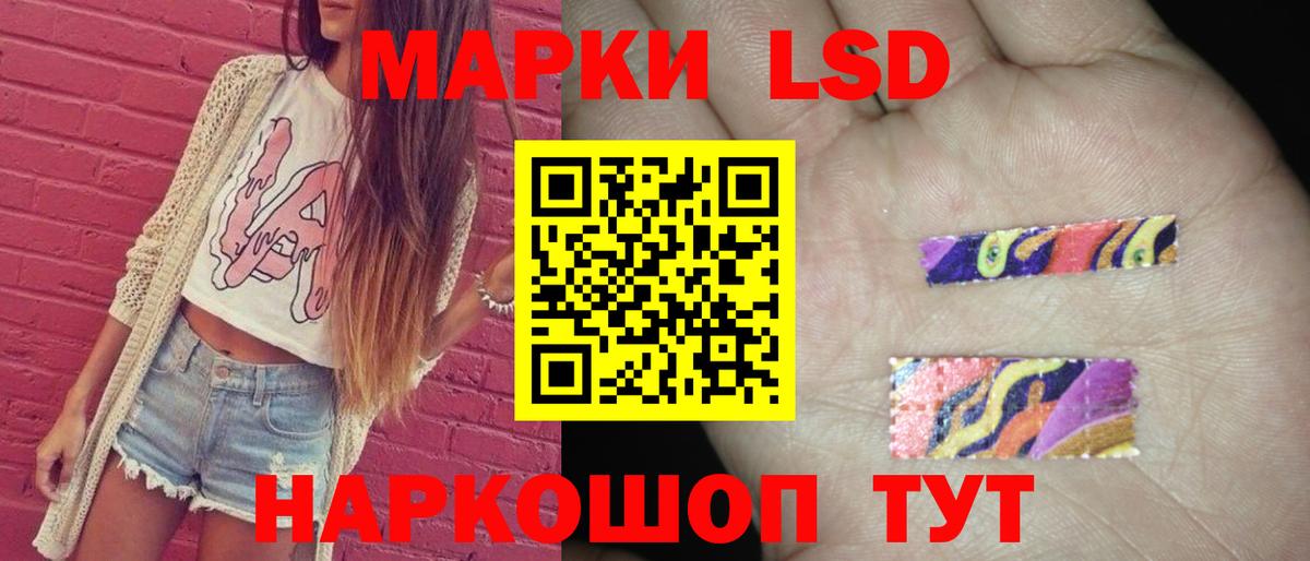 Новозыбков  ЛСД экстази  Вход с VPN  Лсд 25 экстази кислота  LSD-25 экстази ecstasy 