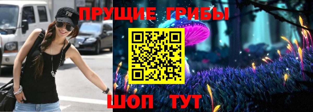 Новозыбков  Галлюциногенные грибы мицелий  Вход с VPN  Псилоцибиновые грибы прущие грибы 