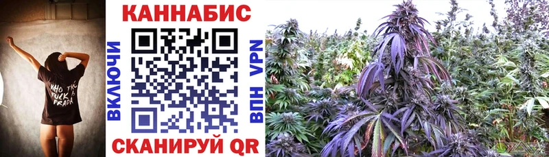 Каннабис планчик Новозыбков